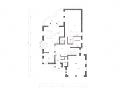 Розкішний проект великого особняка